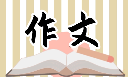 有关向雷锋学习的作文500字